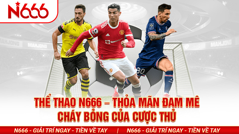 N666 thể thao